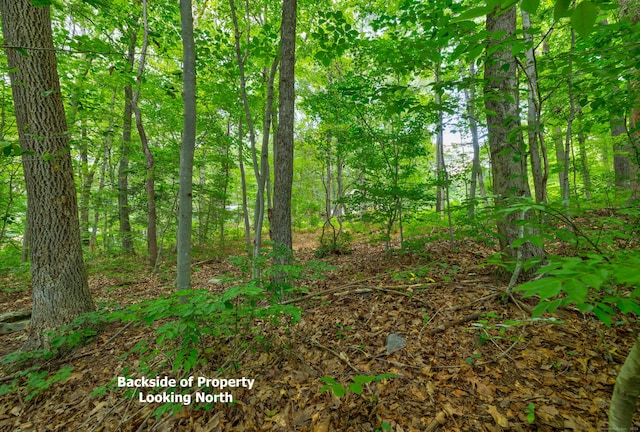 0 Gadpouch Rd, East Hampton, CT 06480 - photo 7