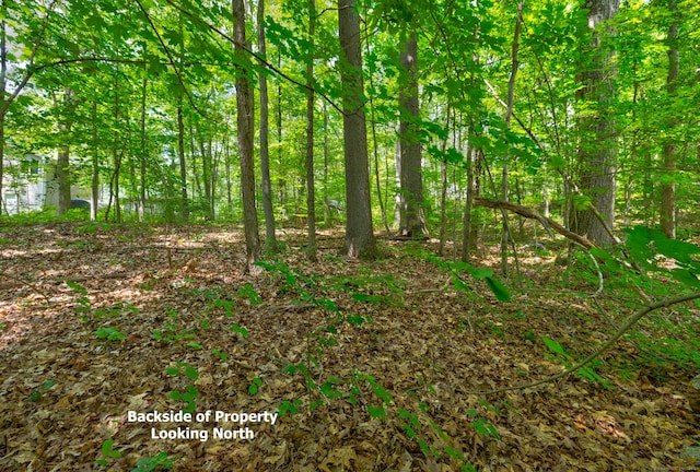 0 Gadpouch Rd, East Hampton, CT 06480 - photo 8