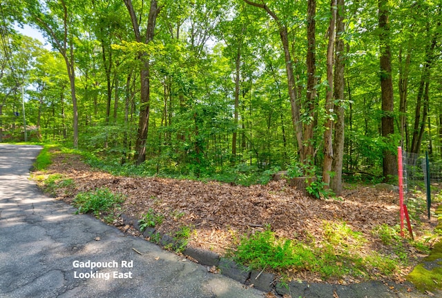 0 Gadpouch Rd, East Hampton, CT 06480 - photo 9