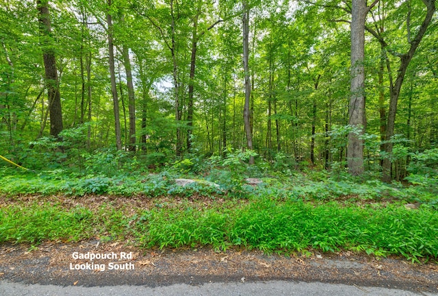 0 Gadpouch Rd, East Hampton, CT 06480 - photo 11