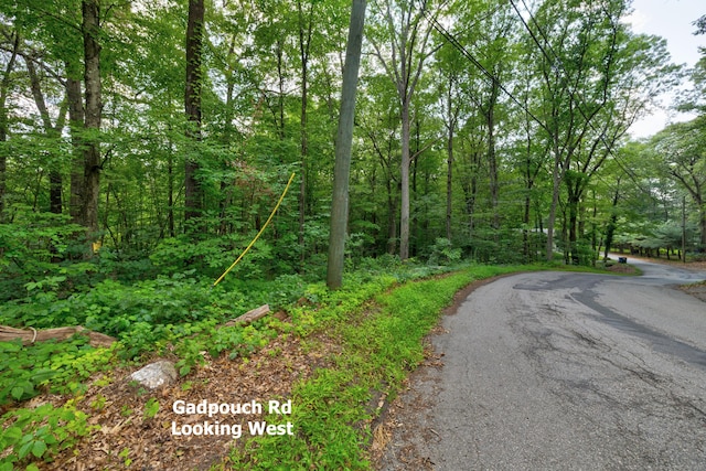 0 Gadpouch Rd, East Hampton, CT 06480 - photo 12