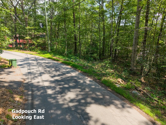 0 Gadpouch Rd, East Hampton, CT 06480 - photo 13