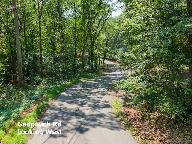 0 Gadpouch Rd, East Hampton, CT 06480 - photo 14