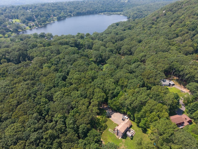 0 Gadpouch Rd, East Hampton, CT 06480 - photo 4
