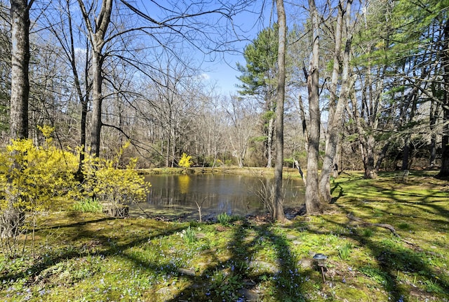 40 N St, North Branford, CT 06471 - photo 33
