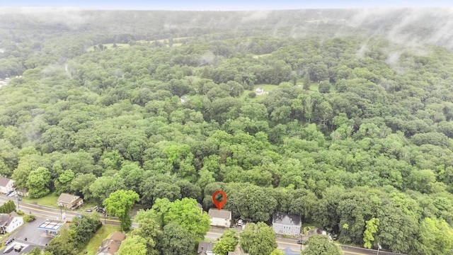190 Main St, Plainfield, CT 06354 - bird's eye view of a forest