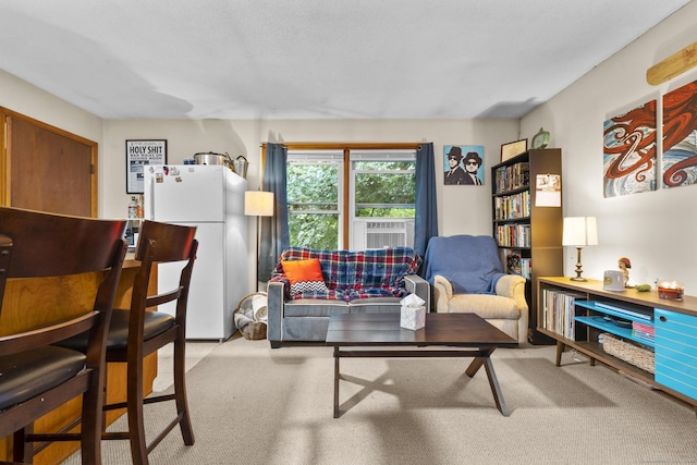 190 Main St, Plainfield, CT 06354 - living area with carpet and cooling unit