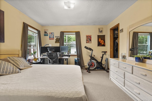 190 Main St, Plainfield, CT 06354 - bedroom featuring a textured ceiling, light carpet, and a desk