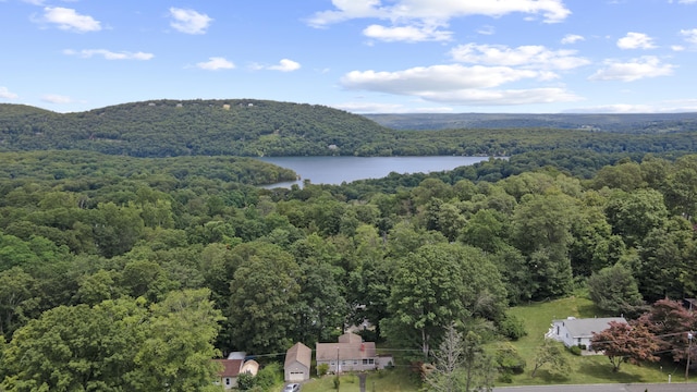 14 Hilltop Dr, New Fairfield, CT 06812 - photo 36
