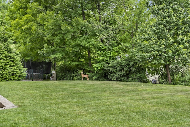 14 Hilltop Dr, New Fairfield, CT 06812 - photo 33