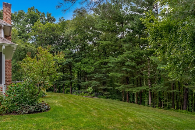 89 Noah Ln, Tolland, CT 06084 - photo 37