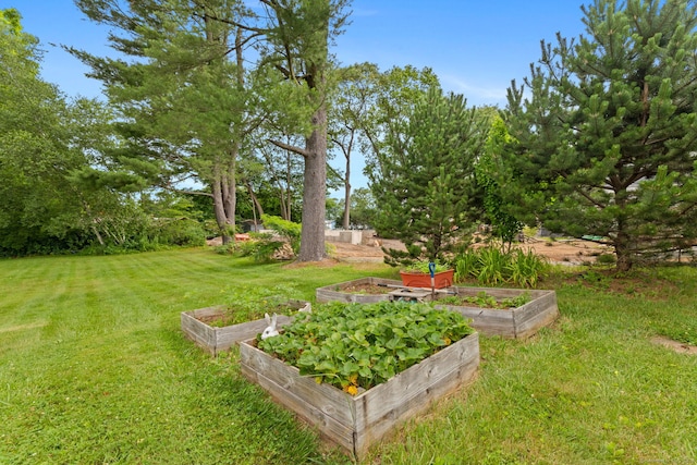 25 Delmar Dr, Bristol, CT 06010 - view of green lawn featuring a garden