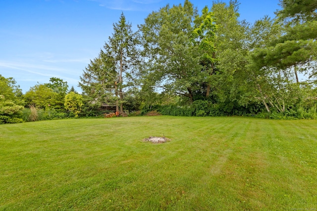 25 Delmar Dr, Bristol, CT 06010 - view of grassy yard