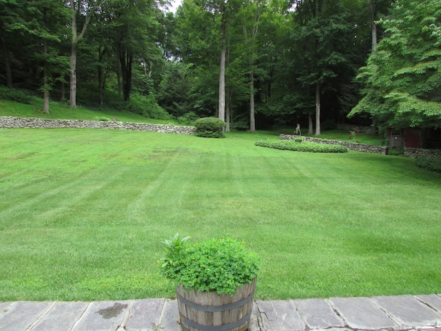 view of green lawn