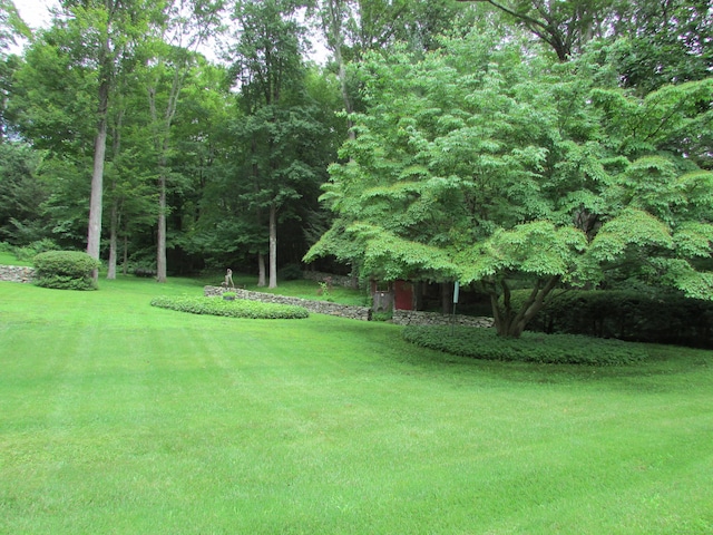 view of grassy yard