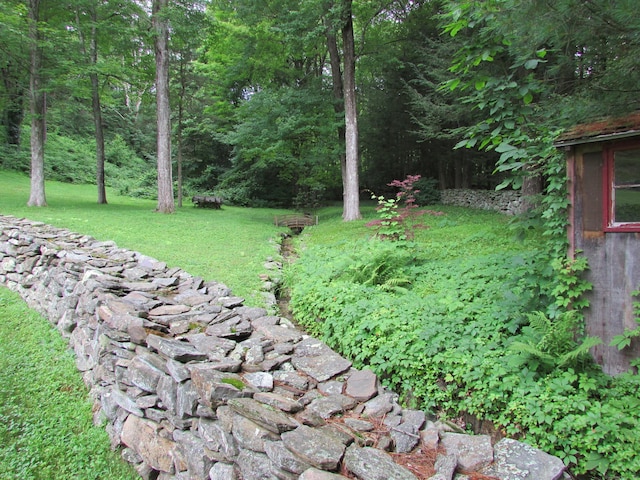 view of grassy yard featuring a wooded view