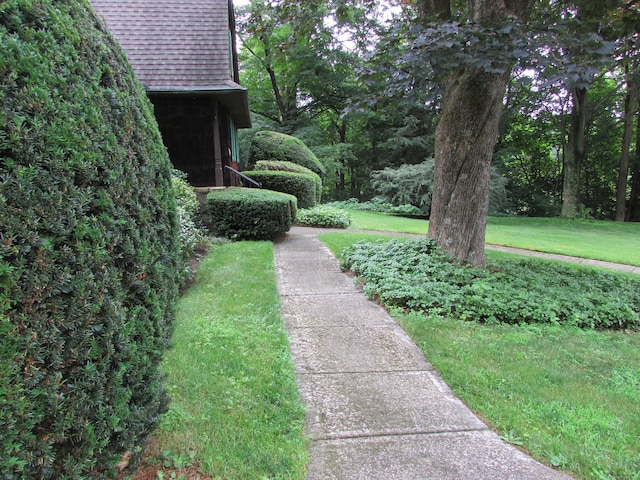 view of green lawn