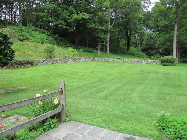 view of green lawn