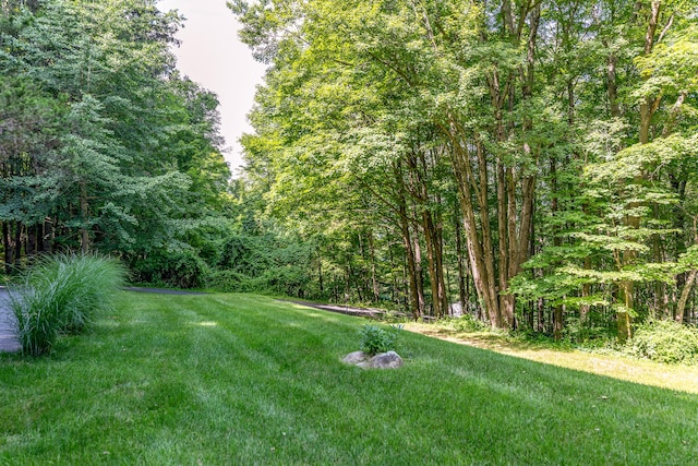96 Sherman Rd, New Milford, CT 06776 - view of grassy yard featuring a wooded view