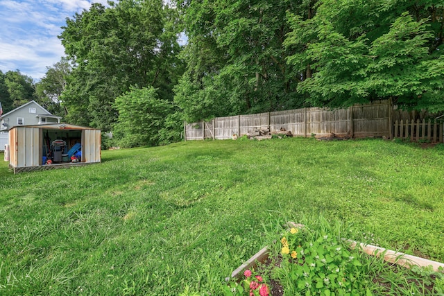 36 School St, Killingly, CT 06239 - view of yard featuring a storage unit