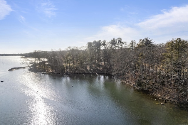 163 Oswegatchie Rd, Waterford, CT 06385 - photo 10