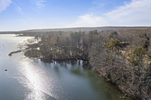 163 Oswegatchie Rd, Waterford, CT 06385 - photo 11