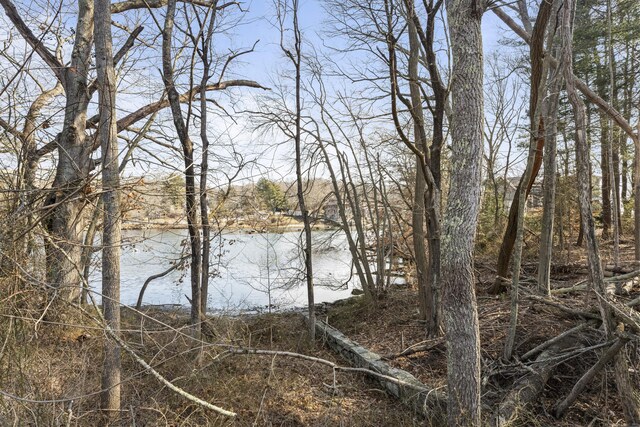 163 Oswegatchie Rd, Waterford, CT 06385 - photo 12