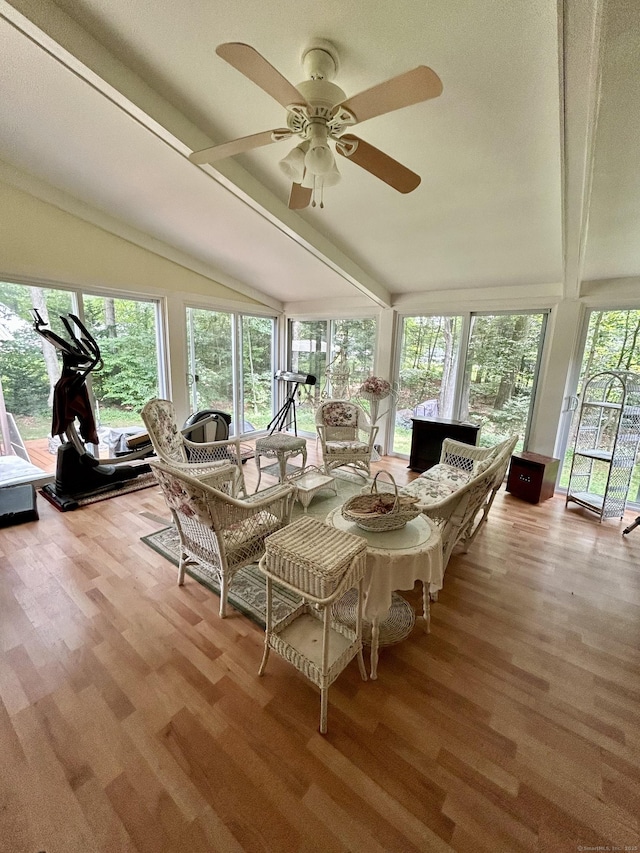 38 Tanglewood Rd, Farmington, CT 06032 - sunroom / solarium with wood finished floors