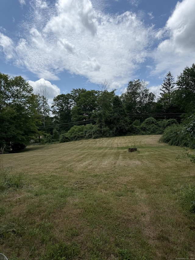 40 Ference Rd, Ashford, CT 06278 - view of green lawn