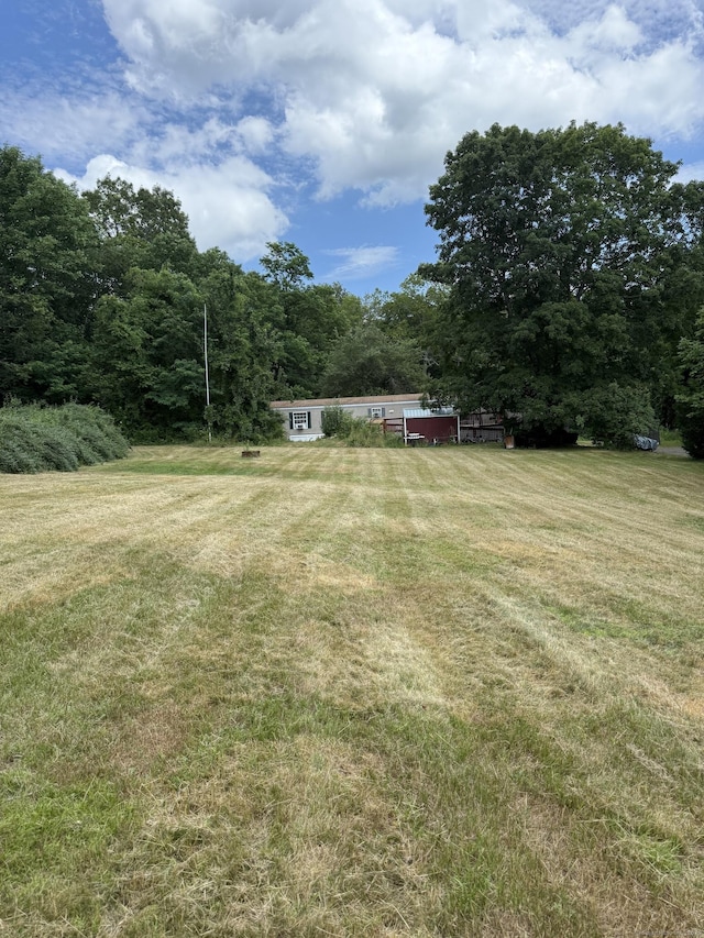 40 Ference Rd, Ashford, CT 06278 - view of grassy yard featuring a view of trees