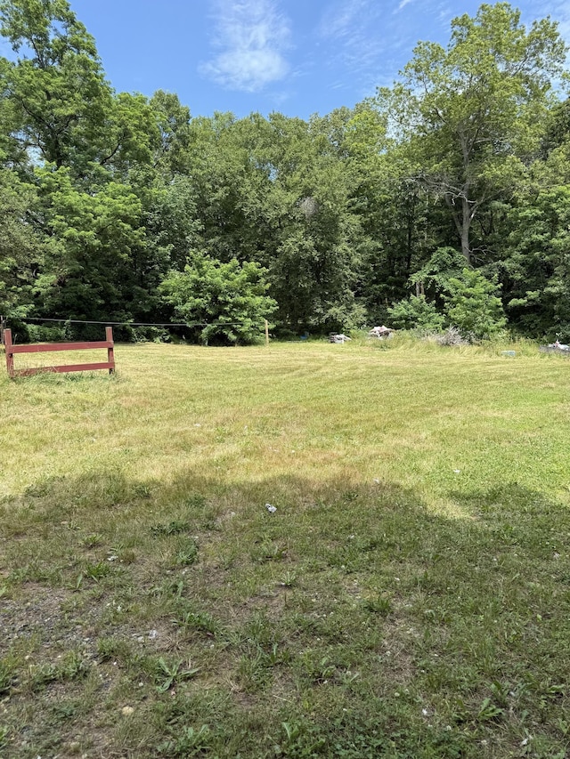 40 Ference Rd, Ashford, CT 06278 - view of green lawn featuring a wooded view