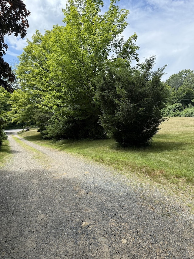 40 Ference Rd, Ashford, CT 06278 - view of dirt / gravel road featuring a forest view