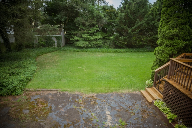 65 Willard St, Hamden, CT 06518 - view of grassy yard with stairs and a patio area