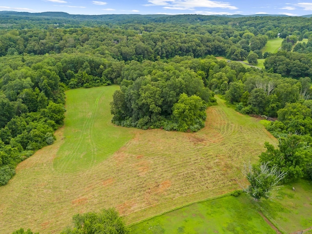 Gildersleeve Rd, Portland, CT 06480