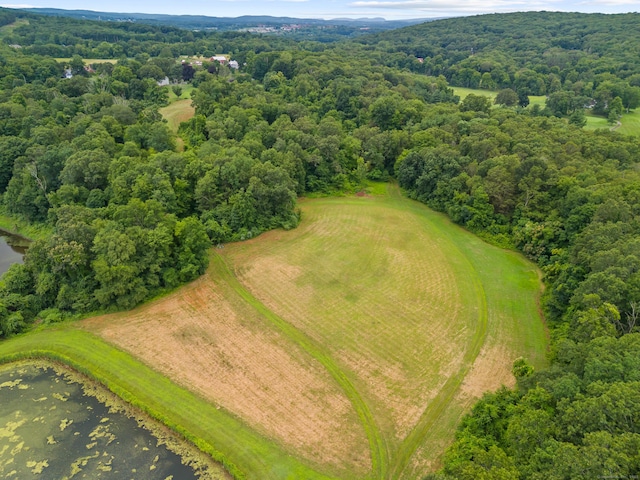 Gildersleeve Rd, Portland, CT 06480