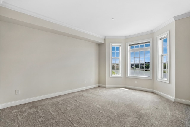 142 E Ave Unit A302, Norwalk, CT 06851 - carpeted spare room featuring ornamental molding and baseboards