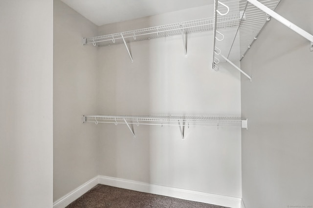142 E Ave Unit A302, Norwalk, CT 06851 - walk in closet featuring carpet flooring