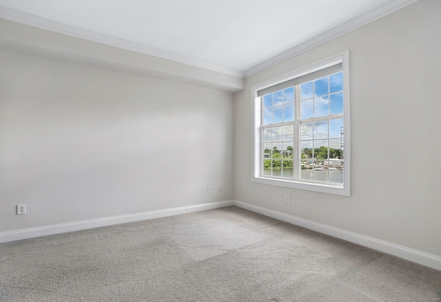 142 E Ave Unit A302, Norwalk, CT 06851 - carpeted spare room featuring ornamental molding and baseboards