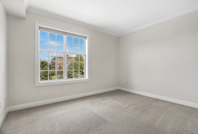 142 E Ave Unit A302, Norwalk, CT 06851 - spare room featuring ornamental molding, healthy amount of natural light, and carpet