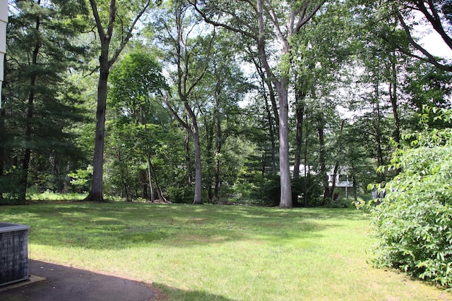 18 Belleview Dr, Derby, CT 06418 - photo 33