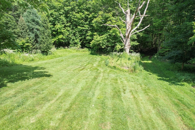 229 Flanders Rd, Southington, CT 06489 - view of green lawn