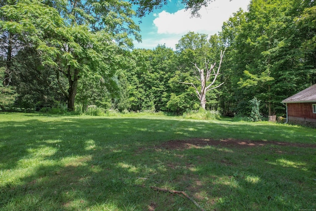 229 Flanders Rd, Southington, CT 06489 - view of green lawn featuring a wooded view