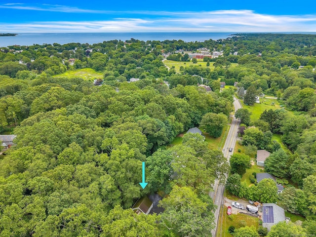 79 E Pattagansett Rd, East Lyme, CT 06357 - drone / aerial view of a forest and a large body of water