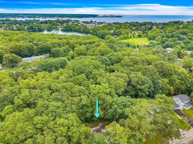 79 E Pattagansett Rd, East Lyme, CT 06357 - bird's eye view of a nearby body of water and a heavily wooded area