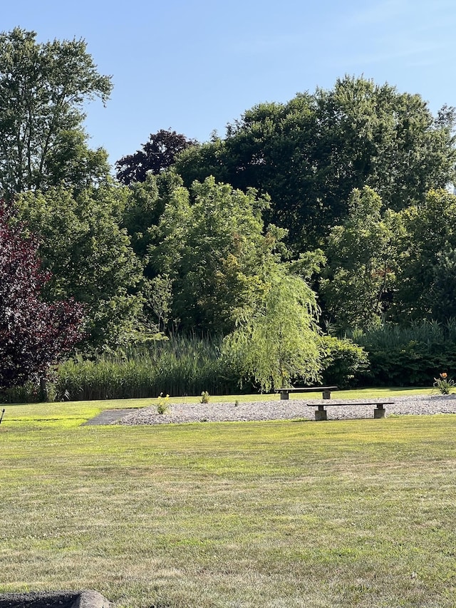 8 Hamre Ln Unit A, Branford, CT 06405 - view of grassy yard