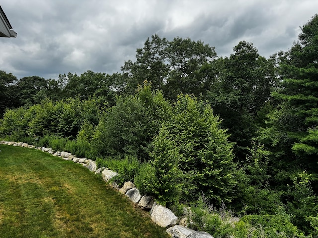 4 Skylark Ln Unit 4, Killingly, CT 06239 - view of grassy yard with a forest view