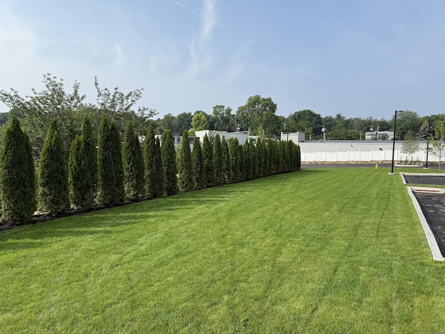 785 Post Rd E Unit 301, Westport, CT 06880 - view of yard