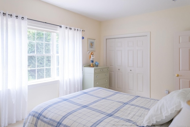20 Eagle Run Unit 20, South Windsor, CT 06074 - photo 22