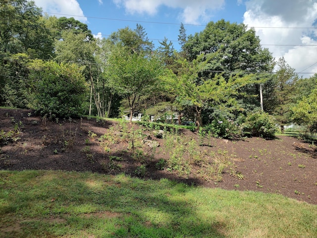 28 Tahmore Pl, Shelton, CT 06484 - photo 4