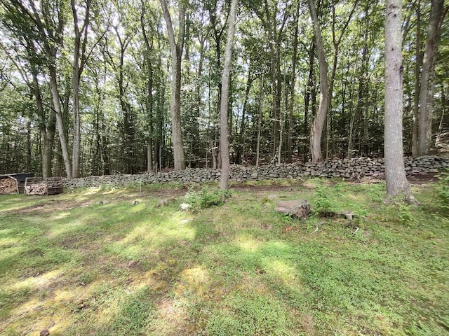 28 Tahmore Pl, Shelton, CT 06484 - photo 5